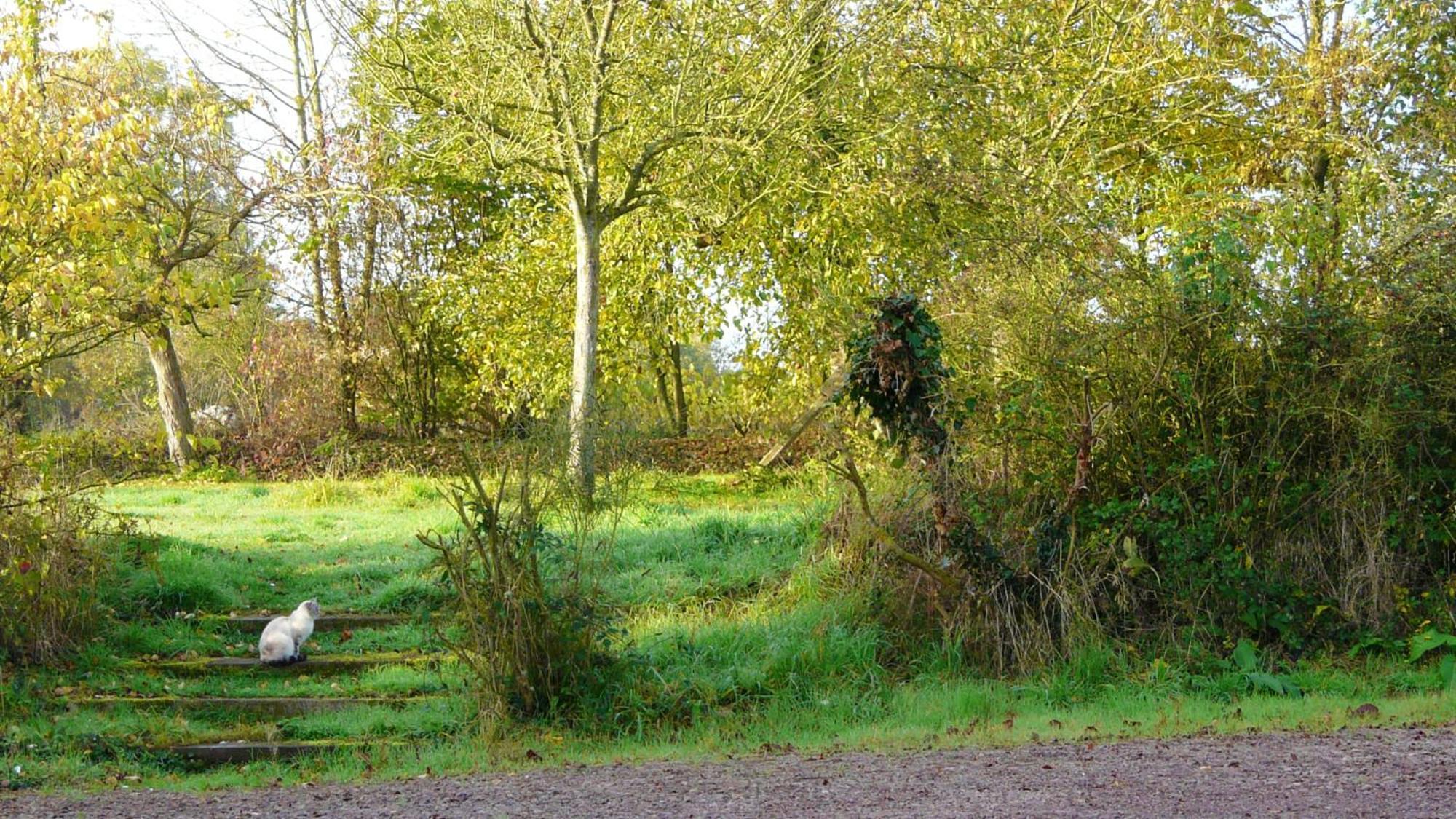 Villa En Campagne Au Locheur + Piscine Le Locheur Kültér fotó
